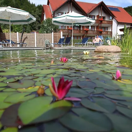 Hotel & Zur Linde