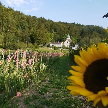 Hotel & Zur Linde 3*