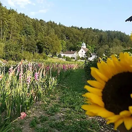 & Zur Linde Hotel 3*