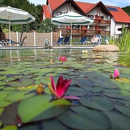 & Zur Linde Hotel Kipfenberg